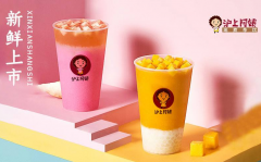 沪上阿姨加盟盈利怎么样？
